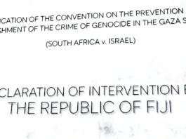 South Africa's genocide in Gaza case against Israel at the ICJ