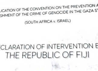 South Africa's genocide in Gaza case against Israel at the ICJ