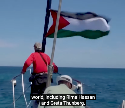 In October 2025, Israeli forces kidnapped the crew members of 41 aid ships near Gaza