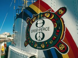 The Cree Indian motif – inspired by the mythology of the elderly woman "Eyes of Fire" and her vision for the future – painted on the original Rainbow Warrior smoke stack