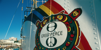 The Cree Indian motif – inspired by the mythology of the elderly woman "Eyes of Fire" and her vision for the future – painted on the original Rainbow Warrior smoke stack