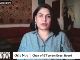 Iranian Israeli political activist and editor Orly Noy