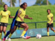 Vanuatu newspaper faces football coverage ban after ‘lesbianism’ headline Vanuatu national women's football team playing Fiji last week in the FIFA 2027 World Cup Oceania Qualifiers