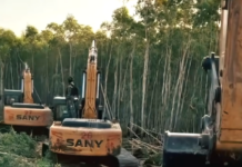 Devastating new ‘ecocide’ film to premiere at West Papua solidarity forum weekend Indigenous West Papuans struggle against the rapacious destruction of rainforest and militarisation of their lands