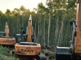 Indigenous West Papuans struggle against the rapacious destruction of rainforest and militarisation of their lands