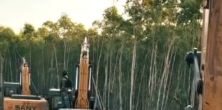 Indigenous West Papuans struggle against the rapacious destruction of rainforest and militarisation of their lands