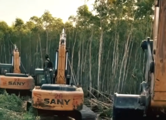 Indigenous West Papuans struggle against the rapacious destruction of rainforest and militarisation of their lands