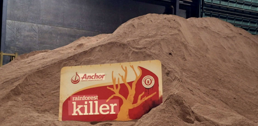 The supermarket trip that led to Fonterra admitting its ‘100% New Zealand Grass Fed’ claim is misleading and deceptive Greenpeace wins lawsuit against Fonterra