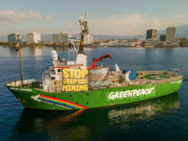 Greenpeace’s Arctic Sunrise to join Global Sumud Flotilla mission to Gaza The Arctic Sunrise