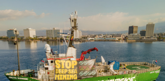 Greenpeace’s Arctic Sunrise to join Global Sumud Flotilla mission to Gaza The Arctic Sunrise