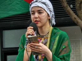 Bibi Amena