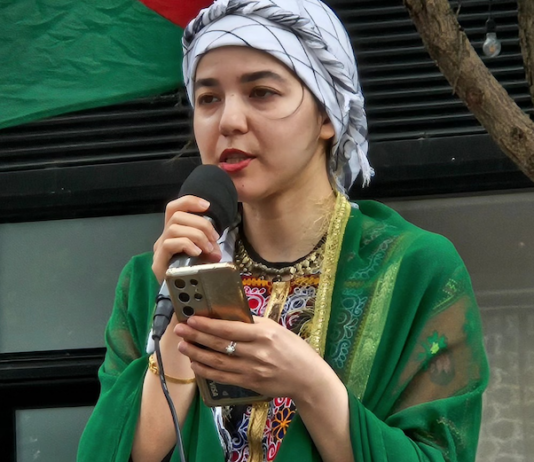 Bibi Amena