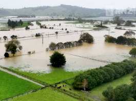 Flooding near Whitianga cuts off a state highway.