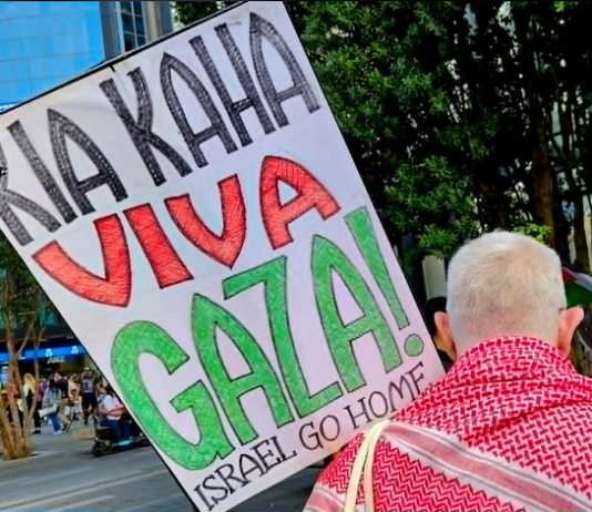 A protester at the Anzac Day rally in Auckland Tamaki Makaurau today