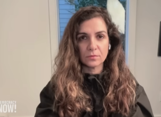 Associate law professor Maryam Jamshidi