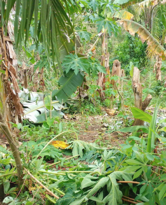 Cyclone Maila damage in Papua New Guinea