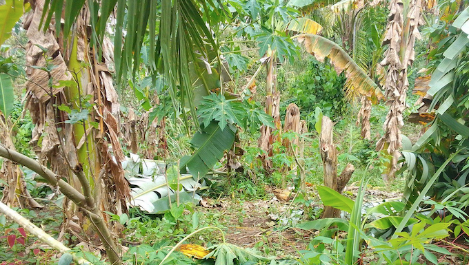 Cyclone Maila damage in Papua New Guinea