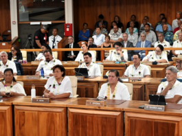 French Polynesia’s legislature shows new shape, more divisions Breakaway A Fano Tia members, led by Tematai Le Gayic, appear dressed in white