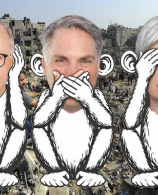 Australia, the country, as a political entity, its government, its major institutions, its official voice to the world, was quiet over the Gaza genocide