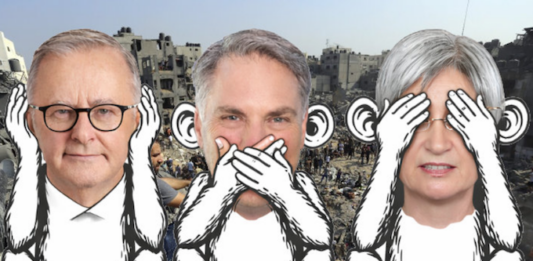 Ignoring genocide – the bill for Australia’s silence has arrived Australia, the country, as a political entity, its government, its major institutions, its official voice to the world, was quiet over the Gaza genocide