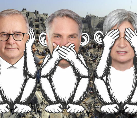 Australia, the country, as a political entity, its government, its major institutions, its official voice to the world, was quiet over the Gaza genocide
