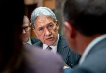 NZ Foreign Minister Winston Peters