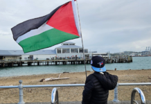 A Canadian boy tourist holds a Palestinian flag aloft signalling to "no war" protesters on Devonport wharf