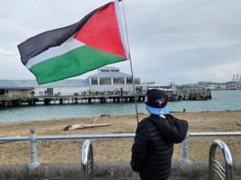 A Canadian boy tourist holds a Palestinian flag aloft signalling to "no war" protesters on Devonport wharf