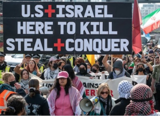 Starkly, in Israel’s case, not only does its actions in Gaza look like genocide, but its leaders have been crystal clear