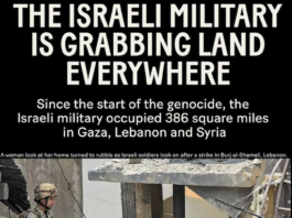 Al Jazeera English’s Open Source Unit reports on the land Illegally in Gaza, Lebanon and Syria taken over by the Israeli military