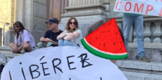 Family pleas for kidnapped 3 Kiwis as Gaza flotilla demands global activists’ freedom from Israel Julien Blondel's niece holds a "free Julien!" placard in French with a Palestinian watermelon logo