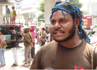 The documentary Pesta Babi has stirred discussions about Papuan development and the impact of deforestation policies