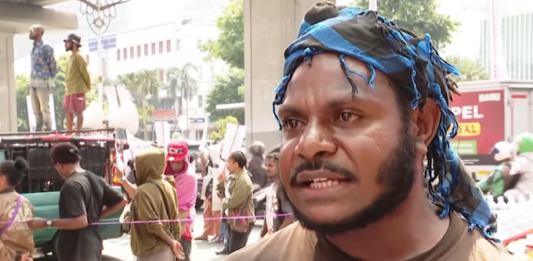 The documentary Pesta Babi has stirred discussions about Papuan development and the impact of deforestation policies