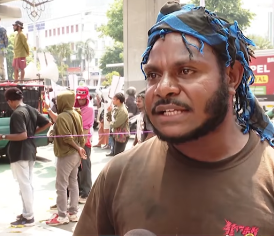 The documentary Pesta Babi has stirred discussions about Papuan development and the impact of deforestation policies
