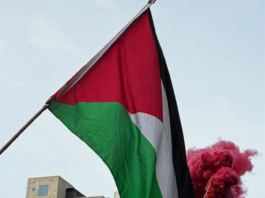 Pro-Palestine protesters set off a blood-red flare outside the US Consulate in the peaceful March for Peace demonstration in Auckland