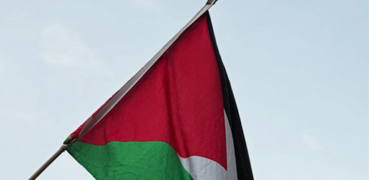 Paul Hopkinson: Why NZ’s ‘Free Palestine’ party seeks to put Gaza genocide at centre of politics Pro-Palestine protesters set off a blood-red flare outside the US Consulate in the peaceful March for Peace demonstration in Auckland