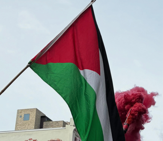 Pro-Palestine protesters set off a blood-red flare outside the US Consulate in the peaceful March for Peace demonstration in Auckland