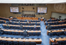 The opening of the 2026 session of the Special Committee on the Situation with regard to the Implementation of the Declaration on the Granting of Independence to Colonial Countries and Peoples (C-24) meeting