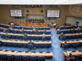 The opening of the 2026 session of the Special Committee on the Situation with regard to the Implementation of the Declaration on the Granting of Independence to Colonial Countries and Peoples (C-24) meeting