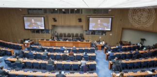 The opening of the 2026 session of the Special Committee on the Situation with regard to the Implementation of the Declaration on the Granting of Independence to Colonial Countries and Peoples (C-24) meeting