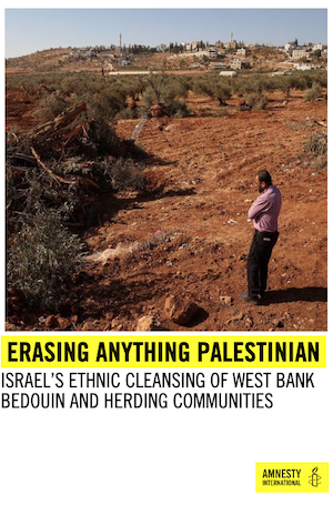 "Erasing Anything Palestinian"