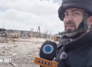 Press TV journalist Hadi Hoteit reporting in southern Lebanon