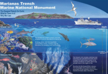 An educational in-depth view of the Marianas Trench Marine National Monumen