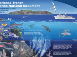 An educational in-depth view of the Marianas Trench Marine National Monumen