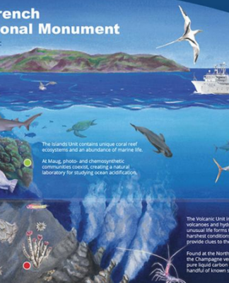 An educational in-depth view of the Marianas Trench Marine National Monumen