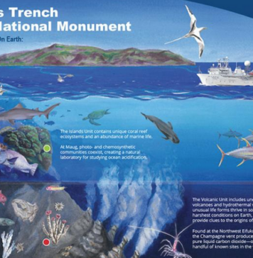 Trump’s fishing decision threatens Pacific communities, NGO warns An educational in-depth view of the Marianas Trench Marine National Monumen