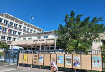 Political party posters on display at the Nouméa Town Hall