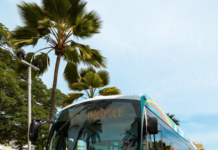 Nouméa bus operator Tanéo