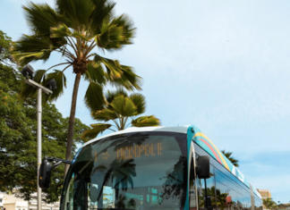Nouméa bus operator Tanéo