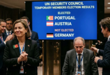 Germany defeated in the UN Security Council vote